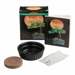 World Market Mini Bonsai Kit