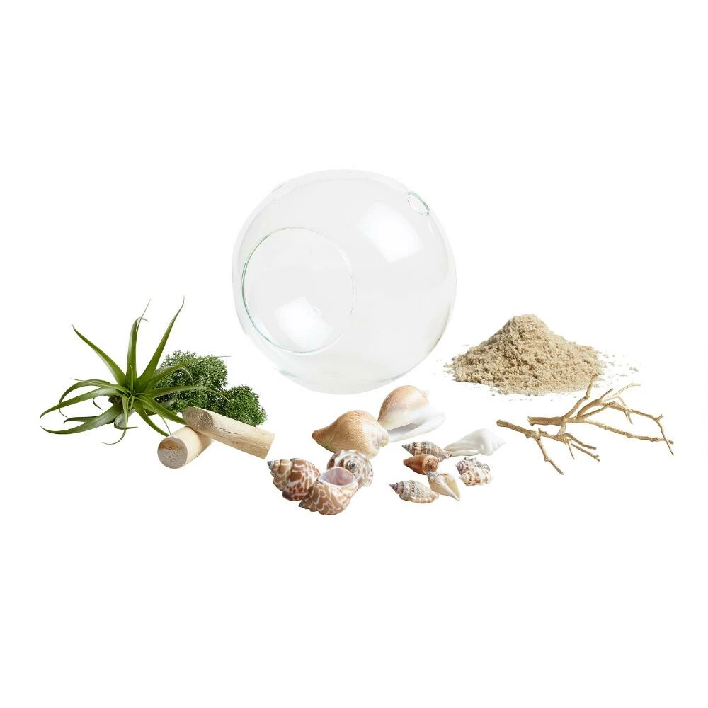 World Market Beach Garden Live Plant Glass Terrarium 2 World Market Beach Garden Live Plant Glass Terrarium - Image 2