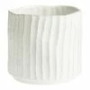 World Market Matte White Ribbed Organic Ceramic Planter