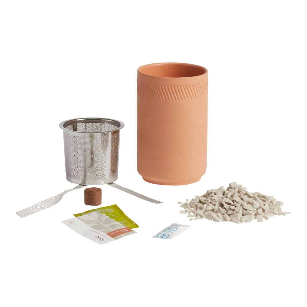 World Market Modern Sprout Terracotta Hydro Grow Kits Set of 2 3 World Market Modern Sprout Terracotta Hydro Grow Kits Set of 2 - Image 3