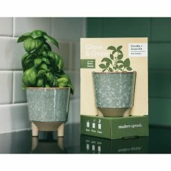 World Market Modern Sprout Basil Glow and Grow Ceramic Candle & Grow Kit -Decor & Pillows Sales Store unnamed file 2399
