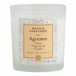 World Market Citrus Bougie Parfumee Scented Candle