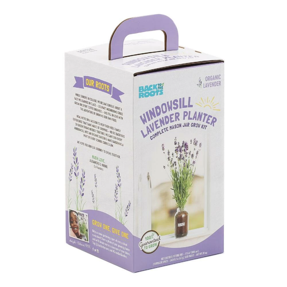 World Market Back to the Roots Organic Lavender Windowsill Grow Kit 1 World Market Back to the Roots Organic Lavender Windowsill Grow Kit
