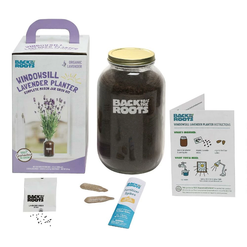 World Market Back to the Roots Organic Lavender Windowsill Grow Kit 2 World Market Back to the Roots Organic Lavender Windowsill Grow Kit - Image 2