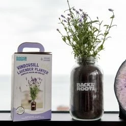 World Market Back to the Roots Organic Lavender Windowsill Grow Kit 5 World Market Back to the Roots Organic Lavender Windowsill Grow Kit -Decor & Pillows Sales Store unnamed file 2424