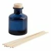 World Market Apothecary Mini Seaside Mist Reed Diffuser