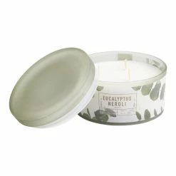 World Market Small Eucalyptus and Neroli 3 Wick Scented Candle