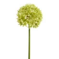 World Market Large Faux Spring Allium Stem -Decor & Pillows Sales Store unnamed file 255