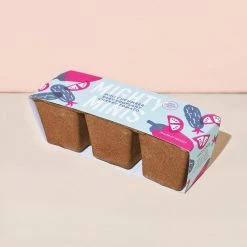 World Market Modern Sprout Seed Trio Grow Kit -Decor & Pillows Sales Store unnamed file 2577