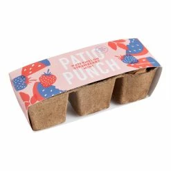 World Market Modern Sprout Seed Trio Grow Kit -Decor & Pillows Sales Store unnamed file 2578