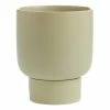 World Market Sage Green Ceramic Planter With Pedestal Tray