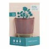 World Market Modern Sprout Daisy Glow and Grow Ceramic Candle & Grow Kit