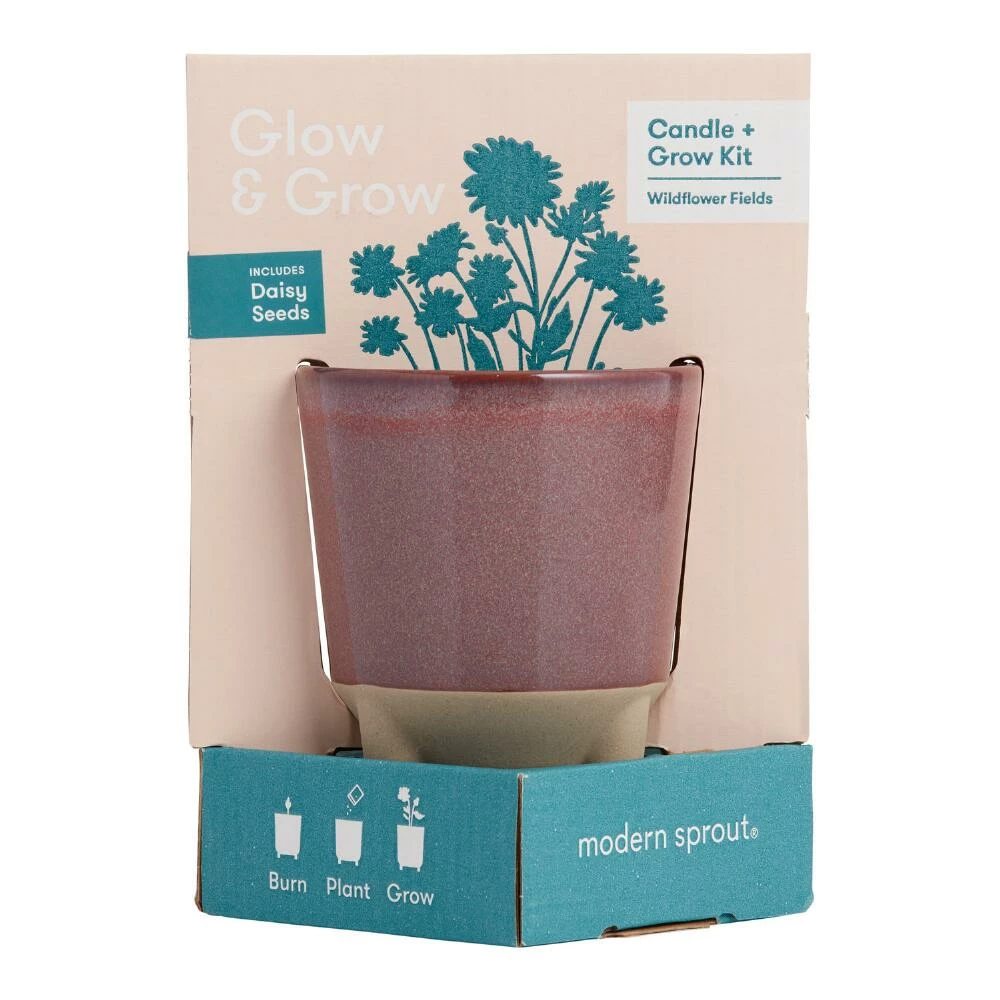 World Market Modern Sprout Daisy Glow and Grow Ceramic Candle & Grow Kit 1 World Market Modern Sprout Daisy Glow and Grow Ceramic Candle & Grow Kit