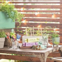 World Market Modern Sprout Pizza Garden Seed Ball Kit 7 World Market Modern Sprout Pizza Garden Seed Ball Kit -Decor & Pillows Sales Store unnamed file 2600