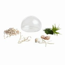 World Market Wall-Mounted Live Plant Glass Terrarium -Decor & Pillows Sales Store unnamed file 2623