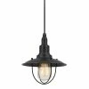 World Market Quincy Bronze Metal Cage Industrial Pendant Lamp