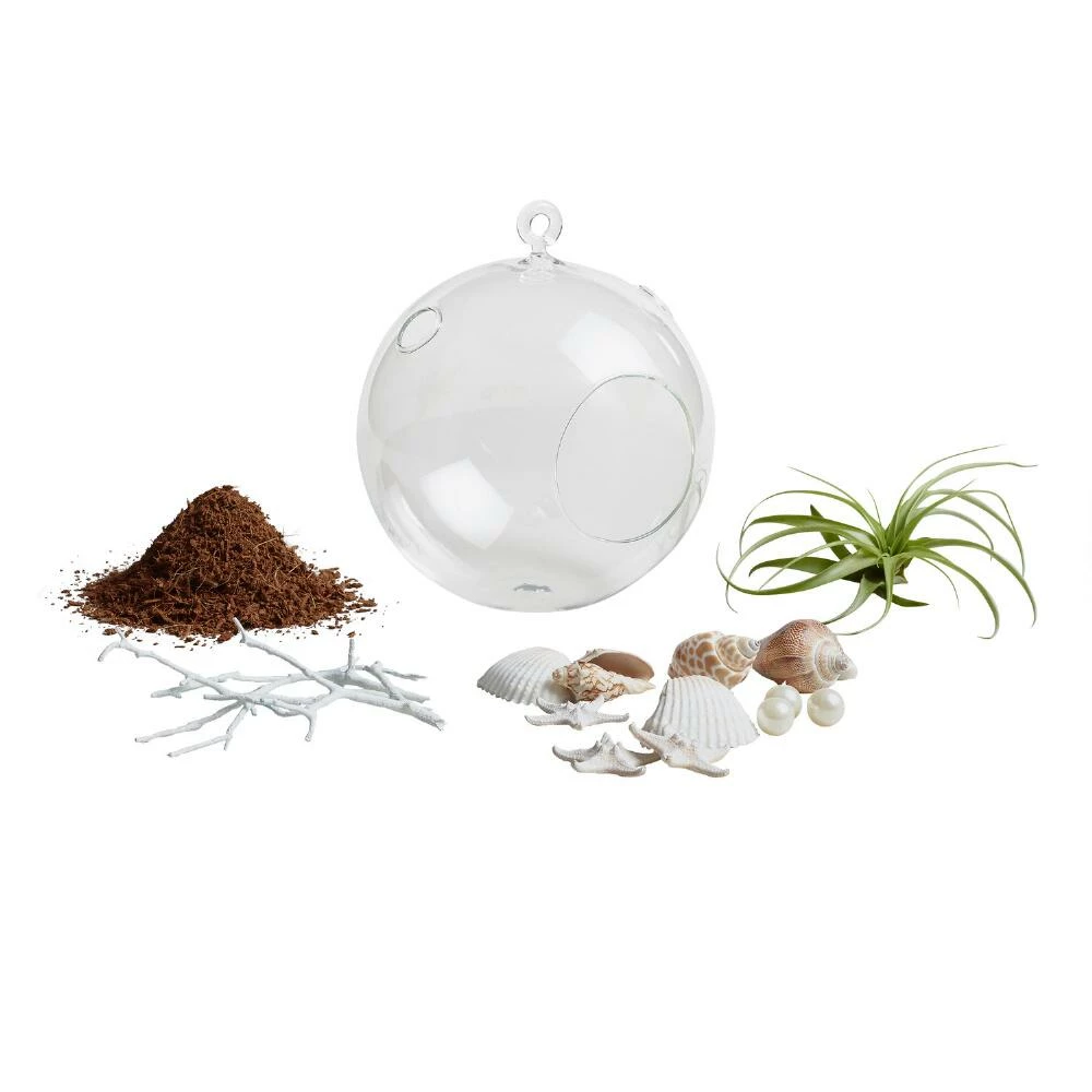 World Market Hanging Live Plant Glass Terrarium with Starfish 2 World Market Hanging Live Plant Glass Terrarium with Starfish - Image 2
