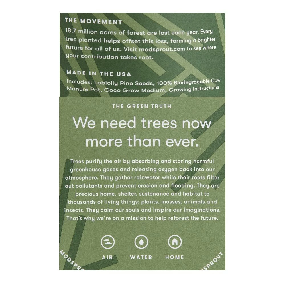 World Market Modern Sprout Loblolly Pine One For One Tree Kit 2 World Market Modern Sprout Loblolly Pine One For One Tree Kit - Image 2