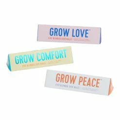 World Market Modern Sprout Bright Side Seed Balls Set of 3