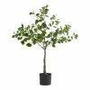 World Market Faux Round Leaf Tree