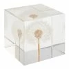 World Market Square Resin Dandelion Paperweight