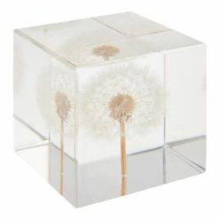 World Market Square Resin Dandelion Paperweight