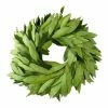 World Market Fresh Bay Leaf Wreath