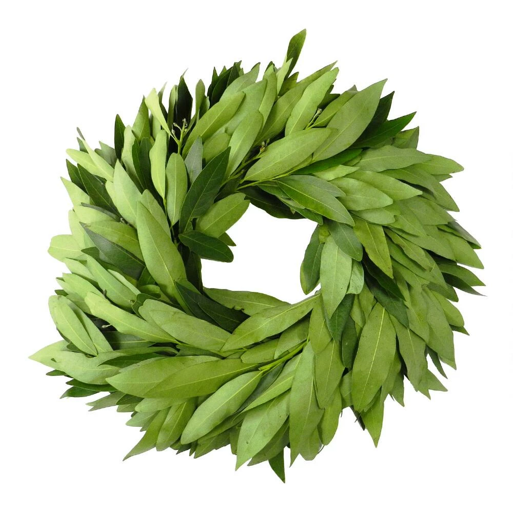 World Market Fresh Bay Leaf Wreath 1 World Market Fresh Bay Leaf Wreath