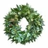 World Market Fresh Bay Leaf, Eucalyptus and Rosemary Wreath