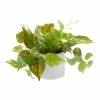 World Market Faux Pothos Plant in White Cement Pot