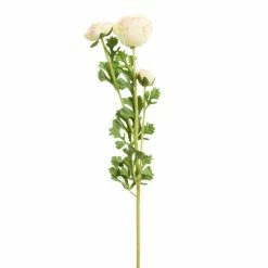 World Market White Faux Ranunculus Spray
