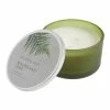 World Market Botanicals Woodland Fern 3 Wick Scented Candle
