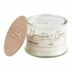 World Market Frosted Glass Clementine and Clove 2 Wick Scented Candle