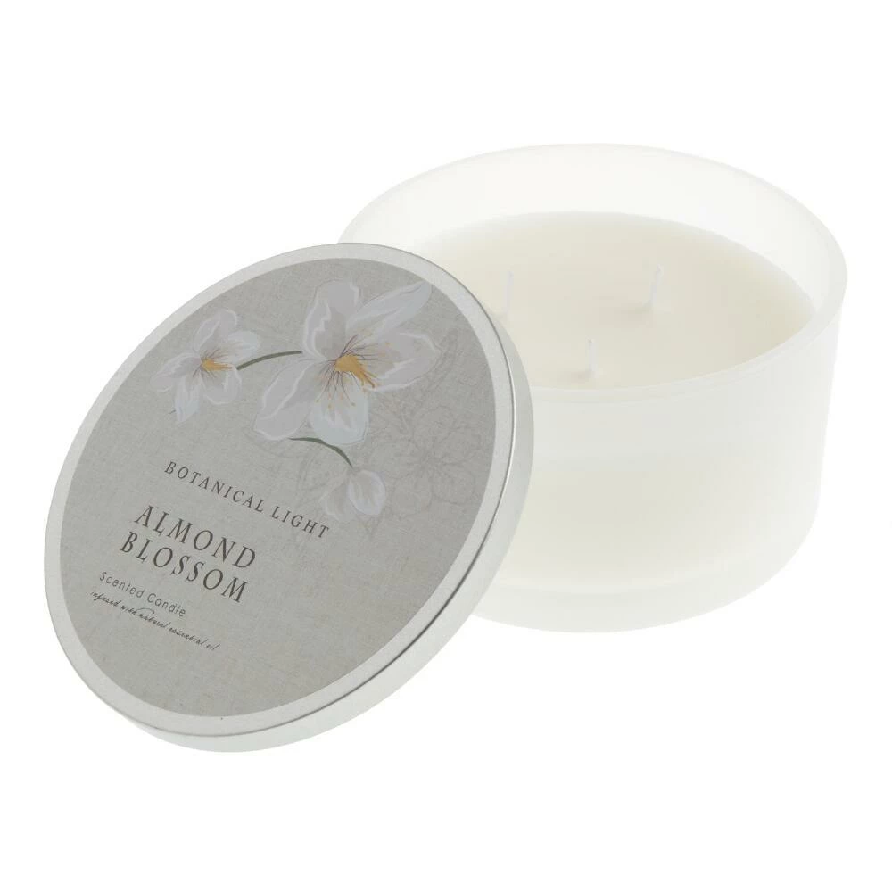 World Market Botanicals Almond Blossom 3 Wick Scented Candle 1 World Market Botanicals Almond Blossom 3 Wick Scented Candle