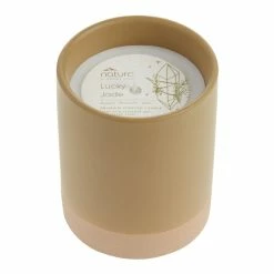 World Market Lucky Jade Two Tone Ceramic Scented Candle