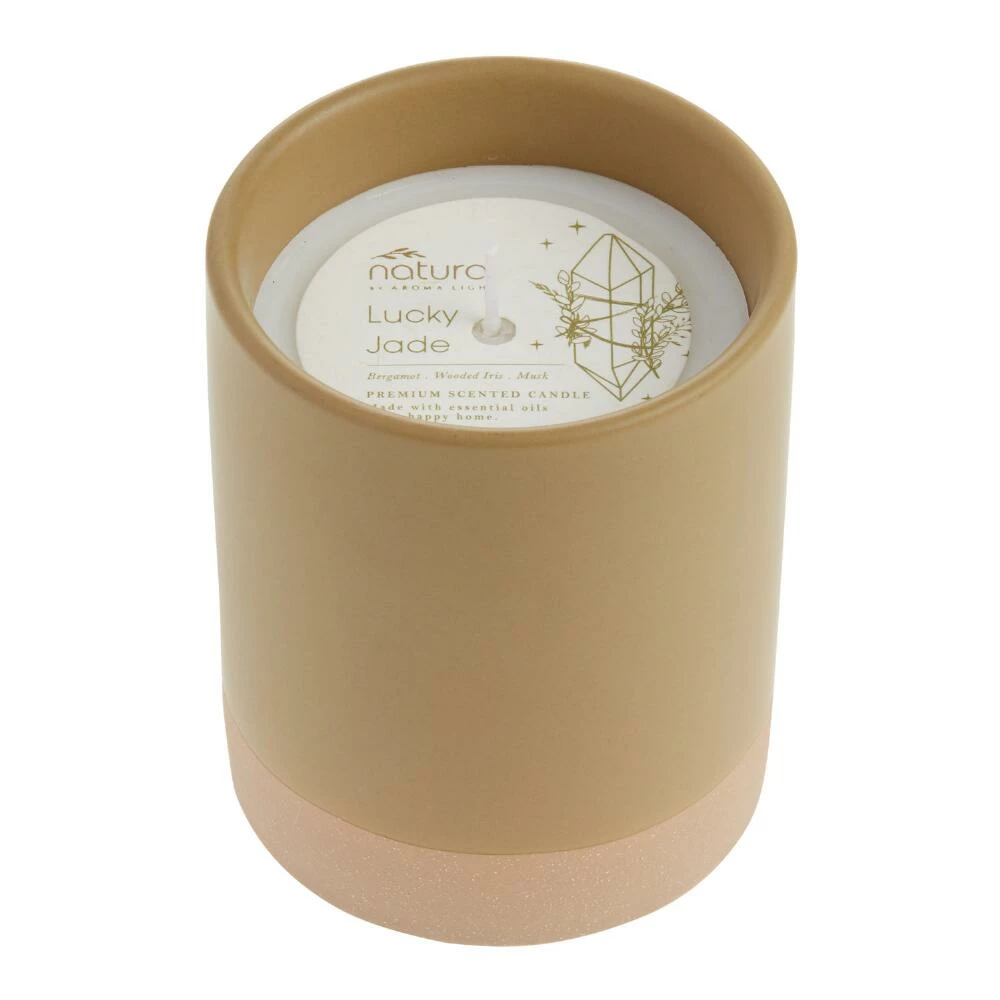 World Market Lucky Jade Two Tone Ceramic Scented Candle 1 World Market Lucky Jade Two Tone Ceramic Scented Candle