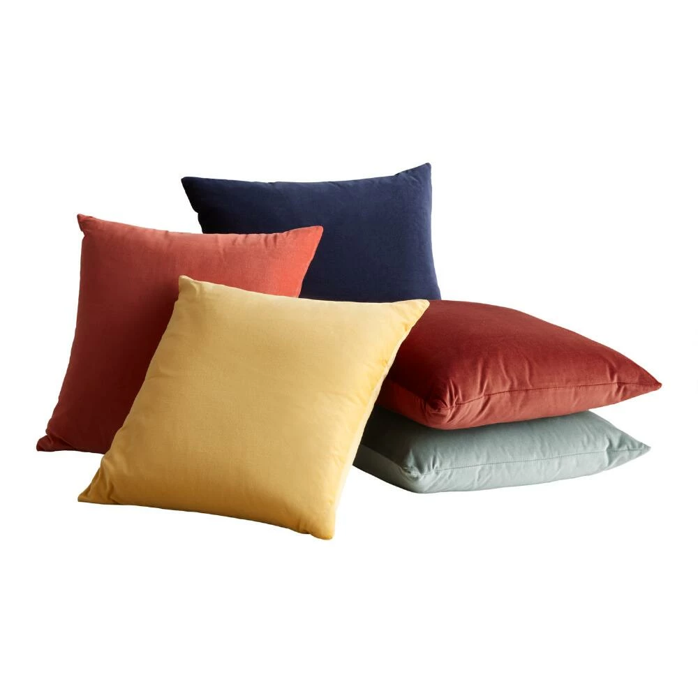World Market Velvet Throw Pillow 1 World Market Velvet Throw Pillow
