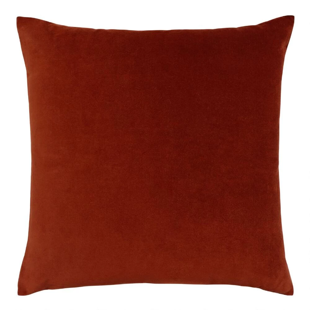 World Market Velvet Throw Pillow 3 World Market Velvet Throw Pillow - Image 3
