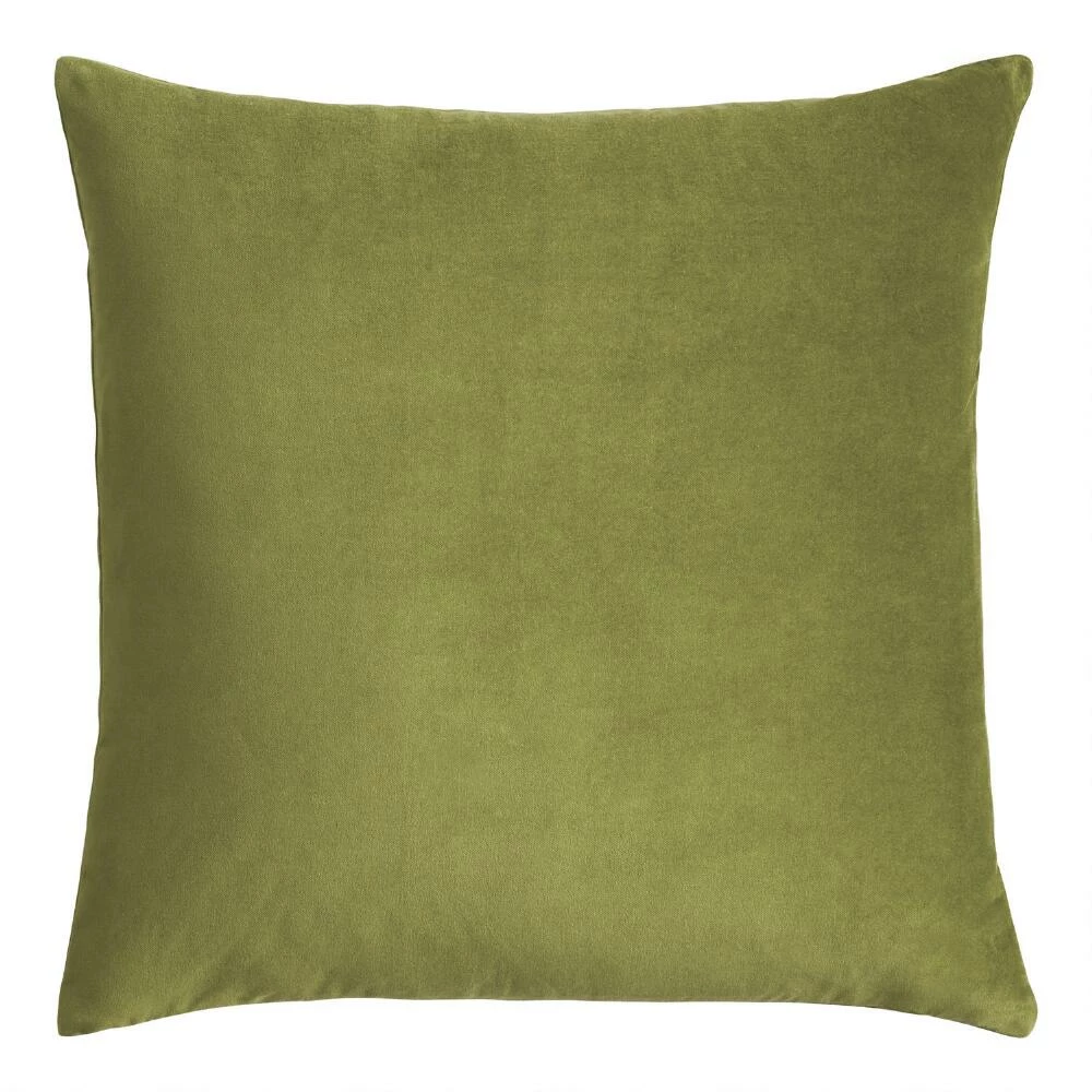 World Market Velvet Throw Pillow 9 World Market Velvet Throw Pillow - Image 9