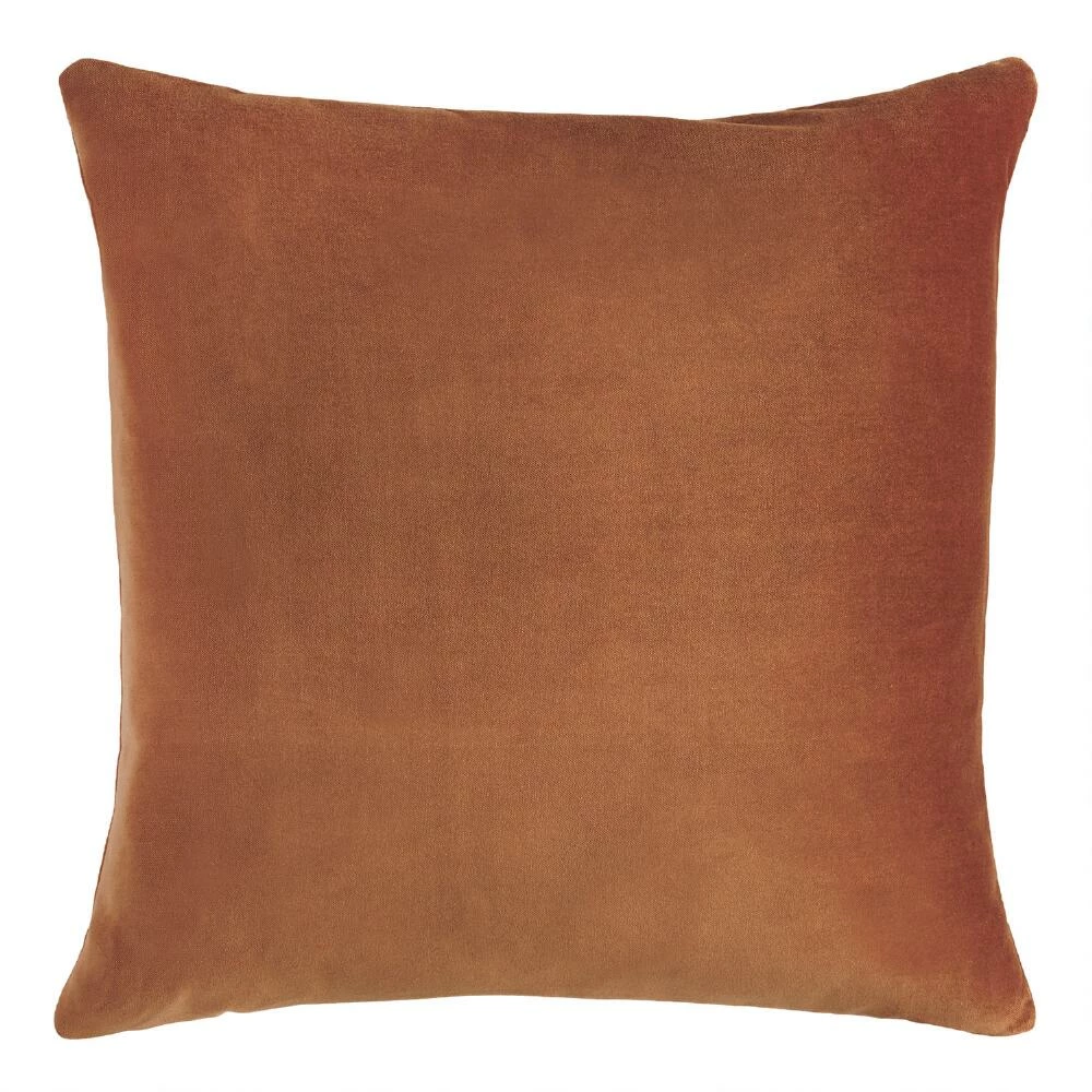 World Market Velvet Throw Pillow 20 World Market Velvet Throw Pillow - Image 20