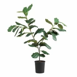 World Market Faux Fiddle Leaf Fig Tree 57 Inch