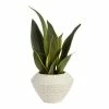 World Market Faux Snake Plant in Speckled Pot