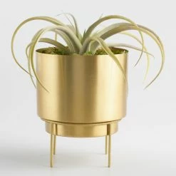 World Market Brushed Gold Planter with Stand -Decor & Pillows Sales Store unnamed file 906
