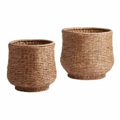World Market Annika Water Hyacinth Pedestal Basket